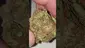 Video Thumbnail: Medical420TV