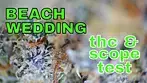Beach Wedding SCOPE & THC TEST | 30% | 8.50/g | Krft, 4C Labs & Xeal Pharma