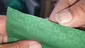Video Thumbnail: Mayor Green