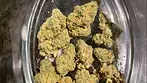 Aurora T31 cosmic cream REVIEW
