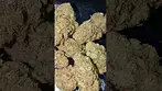 CURALEAF LUNAR CIRCUS ( UK PRESCRIPTION MEDICATION )