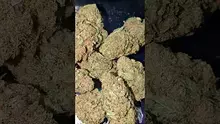 PrescribedBouquet Video Thumbnail