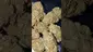 Video Thumbnail: PrescribedBouquet