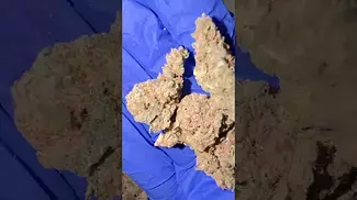 Fire Og | By Curo | Thc 25% medical uk prescription one of the best tasting uk medical I’ve had yet