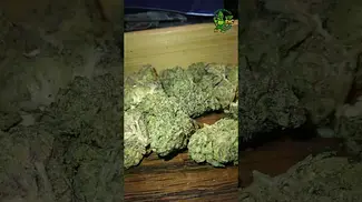 Mamedica - High Society - UK Medical Flower - first look 