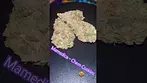 Mamedica ~ Chem Cookies T26 Review in description 