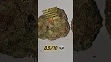 Azztecmedia UK Medical Video Thumbnail