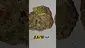 Video Thumbnail: Azztecmedia UK Medical