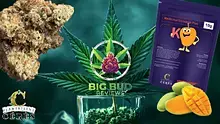 Big Bud Reviews Video Thumbnail