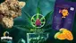 Video Thumbnail: Big Bud Reviews