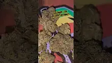 Big Bud Reviews Video Thumbnail