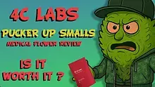 CheeseMon4 Video Thumbnail
