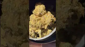 OG Kush Breath T28 Buds 1 | UK Medical Cannabis Strain  #ukmedicalcannabis #ukmedical #review