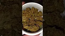 WestPacks420 Video Thumbnail