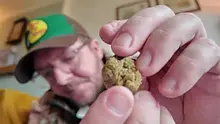 med canna diaries Video Thumbnail