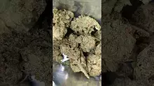 PrescribedBouquet Video Thumbnail