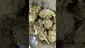 Video Thumbnail: PrescribedBouquet