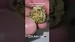 EcoCann Access Motorbreath 19% THC Flower