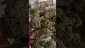 Video Thumbnail: Green Man