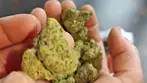 Glass Pharms FCF T22 First Class Funk 