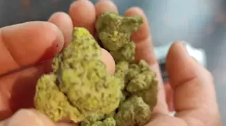Glass Pharms FCF T22 First Class Funk 