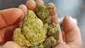 Video Thumbnail: Keep Blazing Stay Amazing