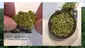 Video Thumbnail: MCUK
