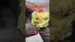 Video Thumbnail: Review Budd