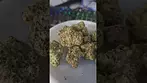 Gelato Orange Cake Lot420 AAAA Review #shorts