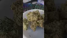 Eazypax420 Video Thumbnail