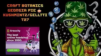CRAFT BOTANICS Georgia Pie  KUSHMINTZ GELLTTI T27 AzztecMedia Reviews medicalcannabis anxiety