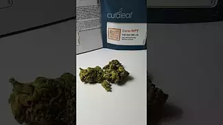 Curaleaf Wedding Pop Triangle
