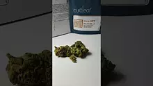 Medical UK Cannabis Video Thumbnail