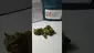 Video Thumbnail: Medical UK Cannabis