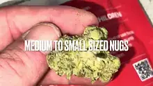 BabyzBudz Video Thumbnail