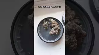 Big Narstie Medical Purple Milk T26 (shit) #ukmedicalcannabis #medicalcannabis