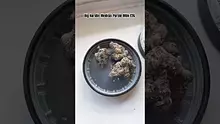 LoudConnoisseur Video Thumbnail