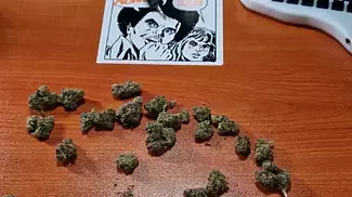 Durban Kush BUDS & TASTE TEST | 4C Labs, Cielo Verde, Xeal Pharma | T26 8.50/g