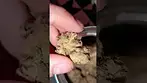 Kim's Sweet Diesel by Sitka Legends MC #medical #uk #topshelf