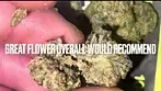 Green Karat MG T27 Modified Gas Medical - Strain Reviews #48