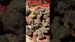 MOCHI GELATO T28 | BUDS 1 #ukmedicalcannabis #strain #strainreview #ukmedical