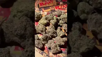 MOCHI GELATO T28 | BUDS 1 #ukmedicalcannabis #strain #strainreview #ukmedical