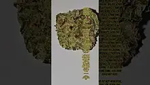 AzztecMedia Video Thumbnail