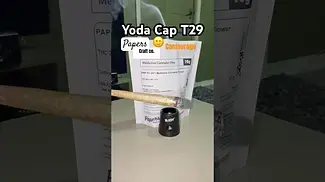 Papers T29 Yoda Cap burn