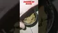 Video Thumbnail: Sparky Spliffz UK