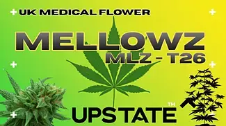 UK MEDICAL FLOWER | UPSTATE | MELLOWZ | T26 #420community #cbpm #ukmedicalcannabis #uk #420 #canada