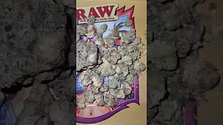 LOT420 - Gelato 33 25.5%