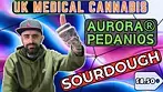 Aurora Pedanios Sourdough | UK Medical Cannabis Review