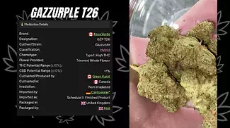 UK MEDICAL FLOWER | KASA VERDE | GAZZURPLE T26 