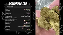 Cannabis Culture  Video Thumbnail